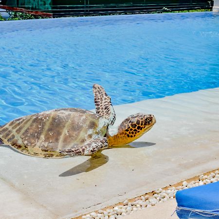 Villa Del Pescador زيهواتانيجو المظهر الخارجي الصورة