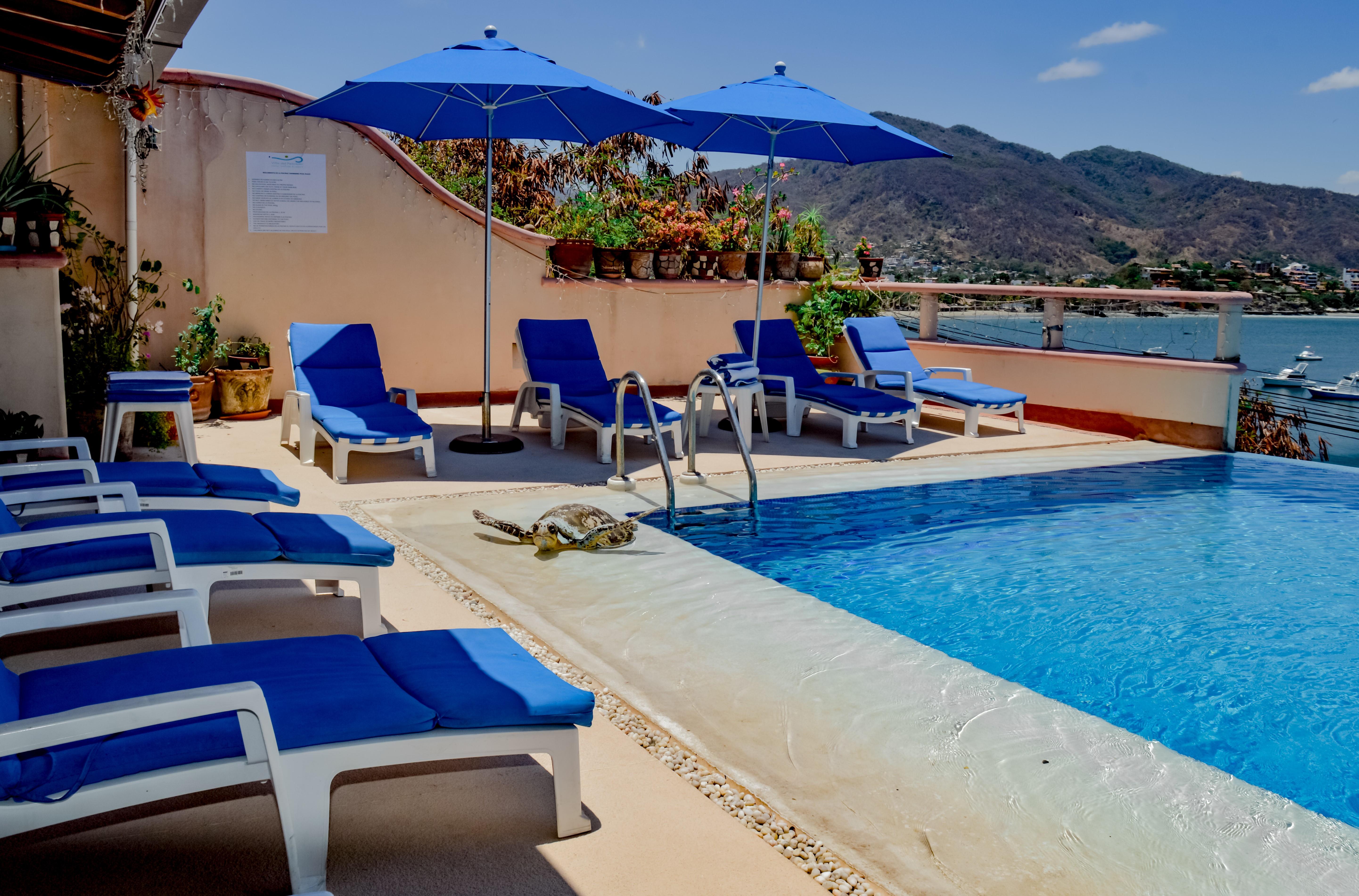 Villa Del Pescador زيهواتانيجو المظهر الخارجي الصورة